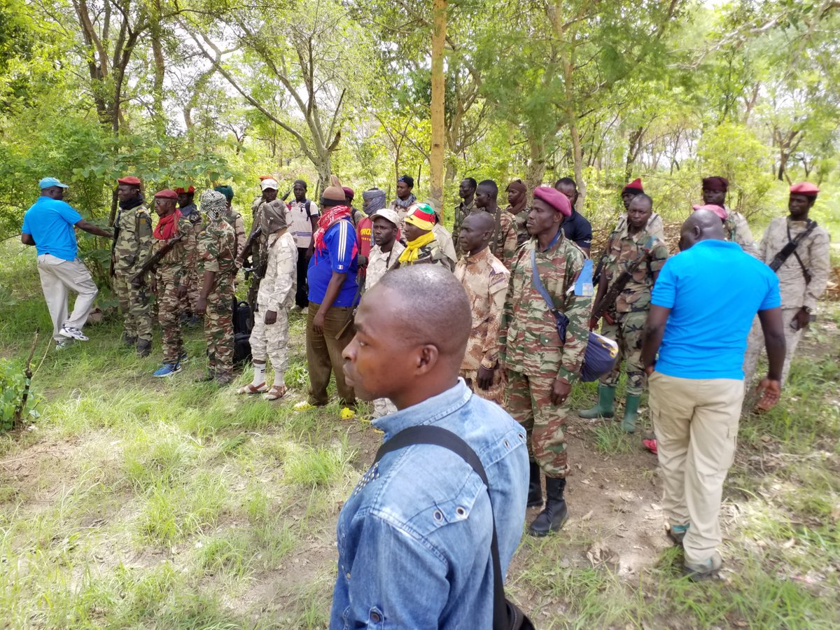 uepnddrrcaf's tweet photo. .#UEPNDDRRenAction! 30 combattants #RJSAYO ont été désarmés et démobilisés ce 30 mai. 1er jour de poursuite des opérations #DD à #Paoua. @RCA_Renaissance @GouvCF @UN_CAR @IOM_CAR @WorldBank @AU_PSD @AU_Chergui https://t.co/ujWeK47PSE