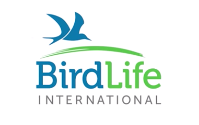 WildPlush's tweet photo. We applaud the efforts of BirdLife International.  Take two minutes to get a sense of how acting local can make a BIG difference.
https://t.co/1wUDCH5rpz https://t.co/MTKJIDLinZ