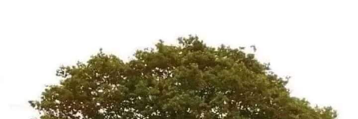 รองลองภาพดูครับเพิ่งหัดเล่นติดตามและลุ้นผมด้วยนะครับ