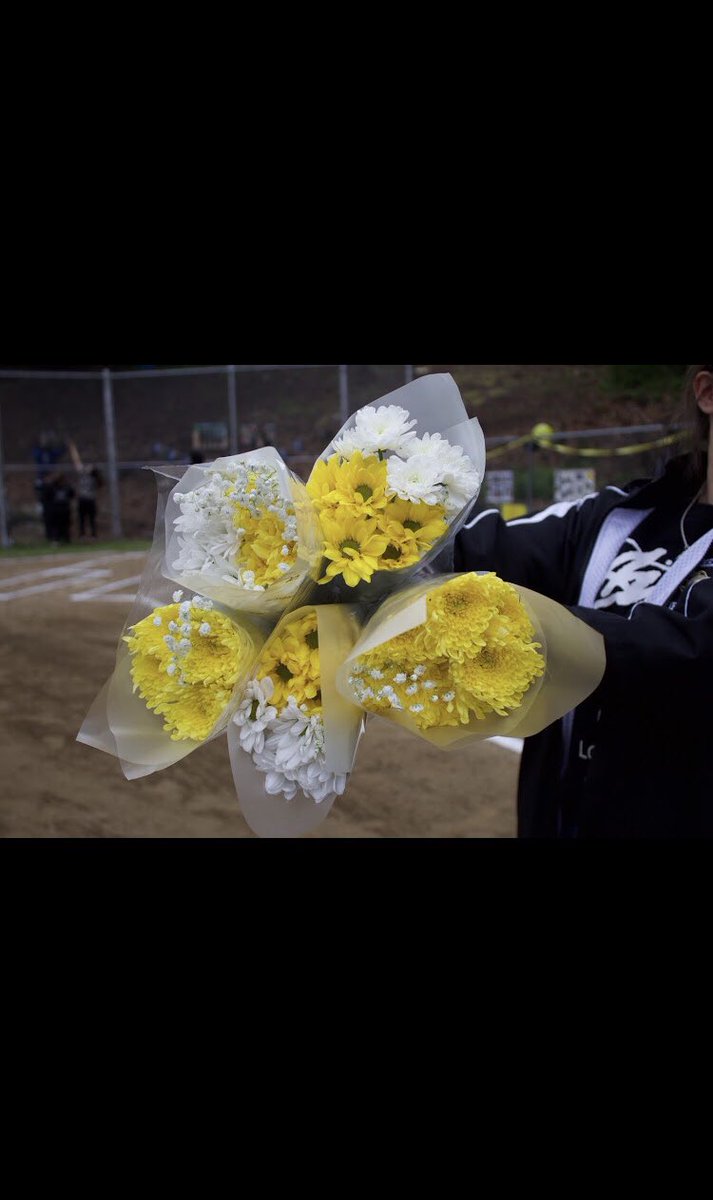 Northeast Softball tweet media