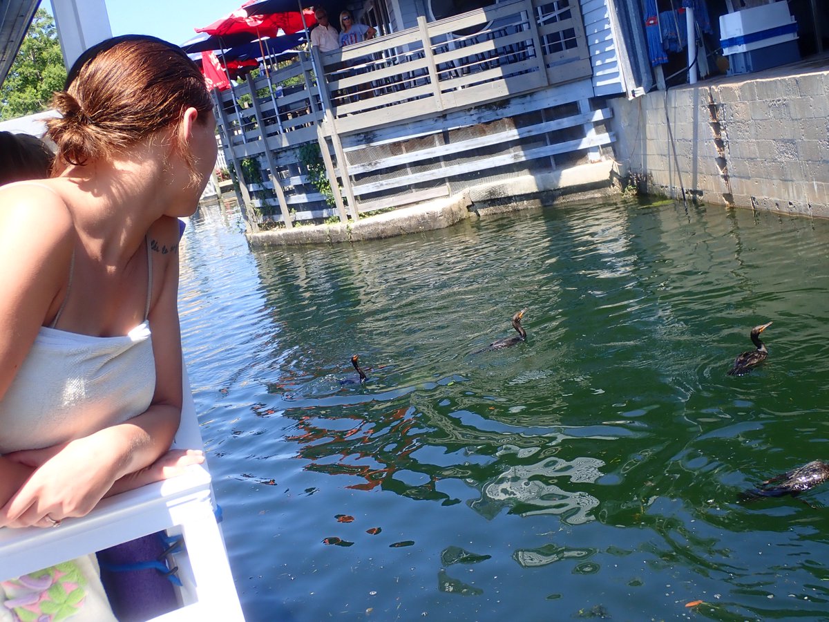 Come join us for some sunshine and manatees #happymanatees#beautifulsunshine