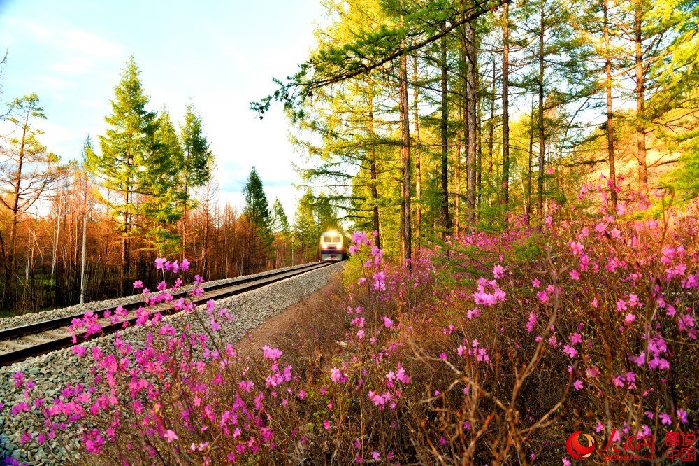EasybookLA's tweet photo. Travel around Aaean with https://t.co/ddVYXvmm48 guarantee fun &amp; safe at affordable prices!
#easybook #easybookla #easybookthailand #bus #ferry #TRAIN #trip #ASEAN #traveler https://t.co/Y5ghyZGiqe