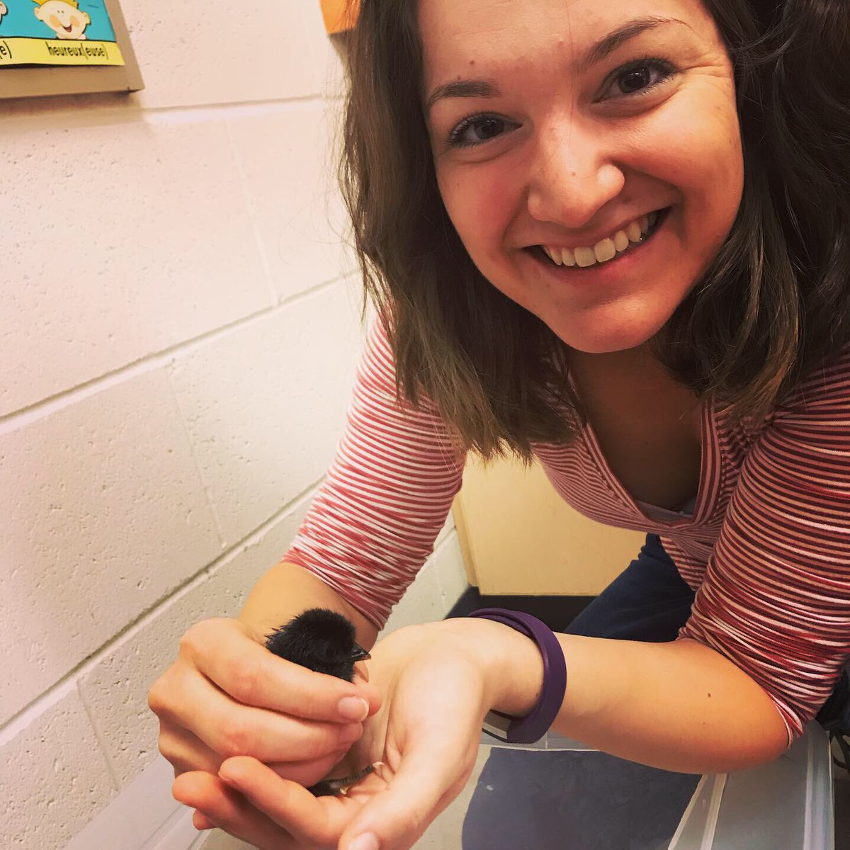 MmeJJackson's tweet photo. This first of Mlle Gaudreau’s baby chicks has hatched!! Welcome to the @EdenwoodMS community, little one! https://t.co/WwjzWg6rCl
