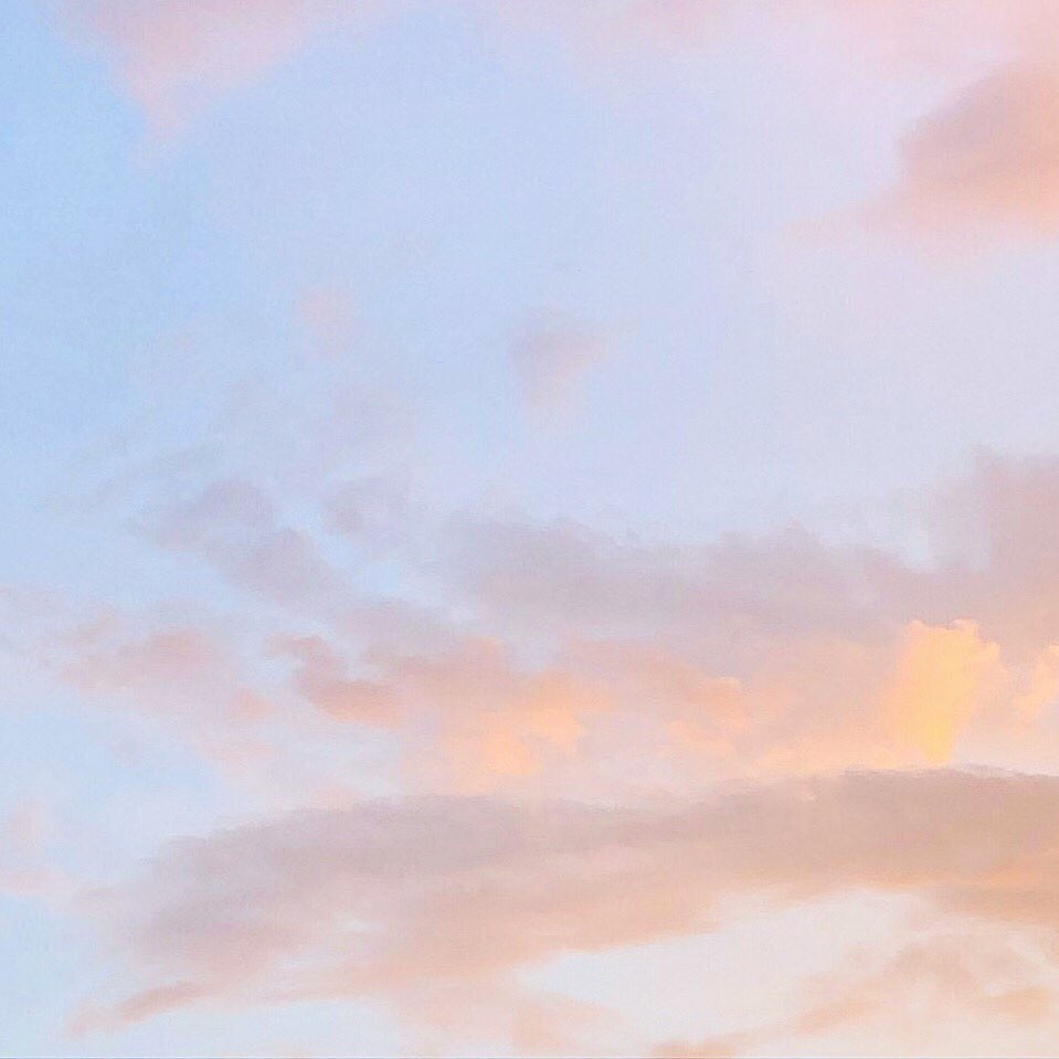 เ ว้ น ว ร ร ค ◦ soul in bloom ✿ tweet media
