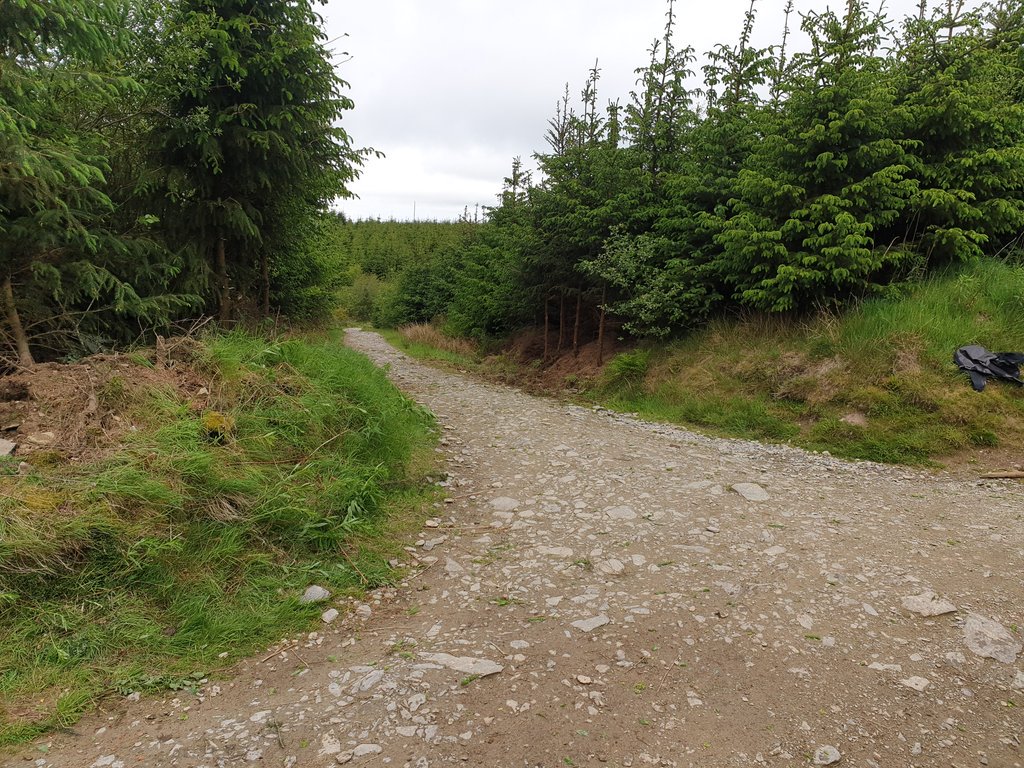 AndrewJames18's tweet photo. Ace work with trail pixies @OPALlandegla @kylemharvey @BadgerLlandegla enjoy the improved section, no more water running on the trail or whip in the face on the.left turn wooohooo #pixies #opallandegla #work #forest #northwales #pinefresh #litter https://t.co/oOBK4RZe2P