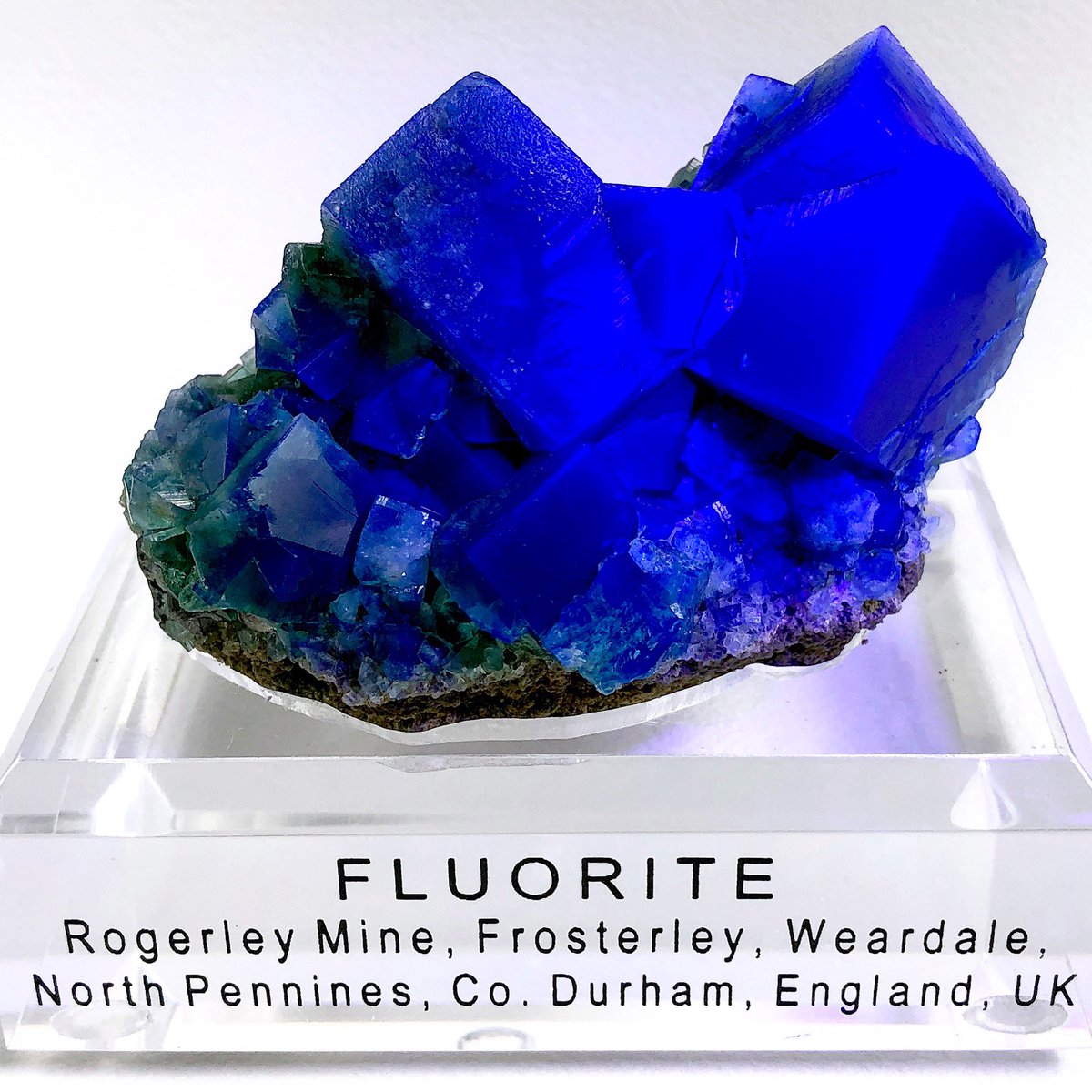 GEMandMShops's tweet photo. Rogerley Fluorite Exposed to UV Light  - Cluster of Terminated Green Cubic Fluorite Crystals with Rare Growth of Three Penetrating Twins -from the Rogerley Mine Frosterley, Weardale, N. Pennines, Co., England, UK — #GEMandM #Fluorite #GreenFluorite #Crystals #FluoriteFriday https://t.co/E61FPjbAM6