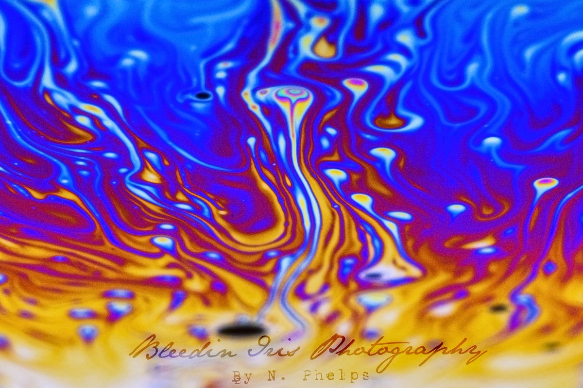 BleedinIris's tweet photo. Another world
Macro bubbles. 2nd photo is zoomed to 100% of the 45.7MP
#macrobubble #bubblelife #macro #210mmmacro #sigma #sigma105mm #nikon #nikonusaofficial #z7 #z7Zelda #alienbees #alienbeesb800 #paulcbuffinc #proportionrelativity #bleedinirismacro #bleedinirisphotography https://t.co/KZJQImY4pt