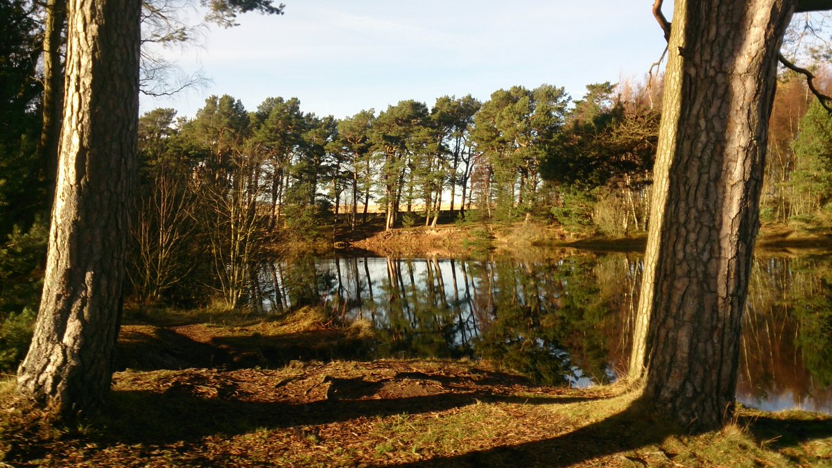 Edinburgh_CC's tweet image. DYK that more than 12,000 #trees have been planted in #Edinburgh in the last two years? 🌳💜🌳
Today we became the first Scottish local authority to sign the #TreeCharter following a motion by @CllrCMiller in Nov 2018 bit.ly/2JN4Sbg