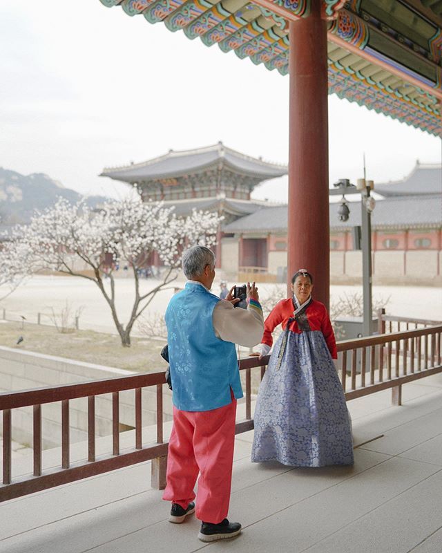 AccessTravelPH's tweet photo. Did you know that you can enter the palaces in Seoul for free if you’re wearing a hanbok? Make sure to take advantage of this perk when you’re in the capital! #travelwithaccess https://t.co/0LhbGMbQxo