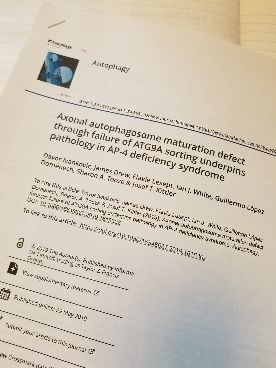 Alexandra Davies (@alex_doune) on Twitter photo Another independent discovery of ATG9A missorting in AP-4 deficiency: doi.org/10.1080/155486âŠ. So pleased to finally see this in print. Congratulations <a href="/Davoriii/">Davor Ivankovic</a> and <a href="/JosefKittler/">Josef Kittler</a>. Very important for efforts to cure AP-4-HSP. #CureSPG47 Another independent discovery of ATG9A missorting in AP-4 deficiency: doi.org/10.1080/155486âŠ. So pleased to finally see this in print. Congratulations <a href="/Davoriii/">Davor Ivankovic</a> and <a href="/JosefKittler/">Josef Kittler</a>. Very important for efforts to cure AP-4-HSP. #CureSPG47
