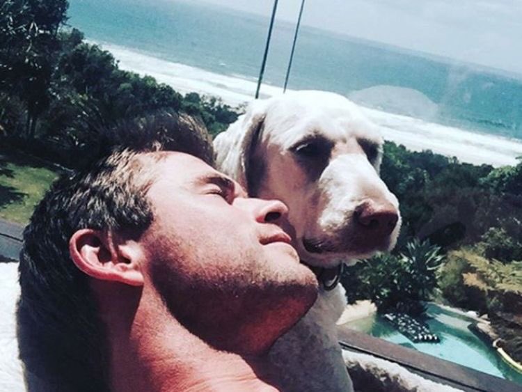 sinfuIeve's tweet photo. sunny hemsworth with her dad, chris https://t.co/UK035DA6Mt