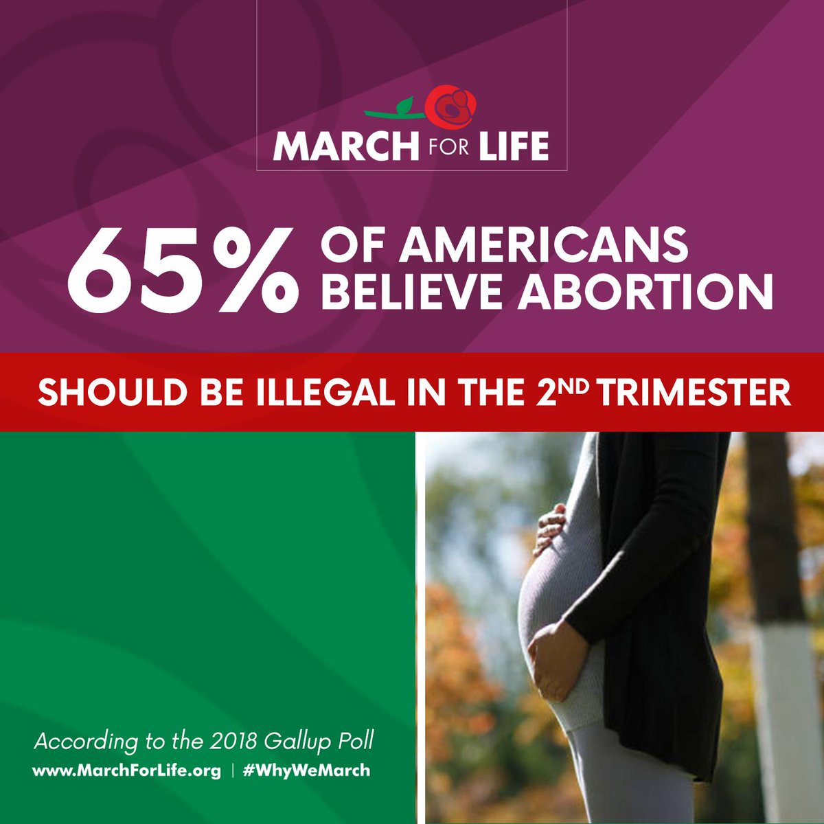 March for Life tweet media