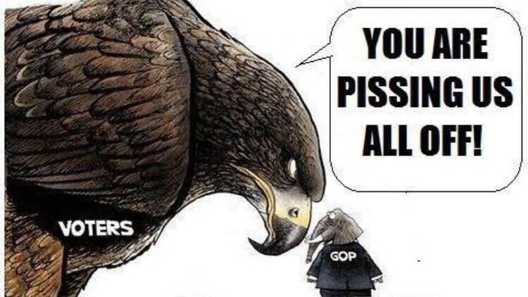 GSDogsMom's tweet photo. @SenBillCassidy Dude. Lying is bad...its almost as if you think your constituents cant read, hear or think for themselves. Is that what you think???
#GASLIGHTFAIL https://t.co/uHovKCzAAU