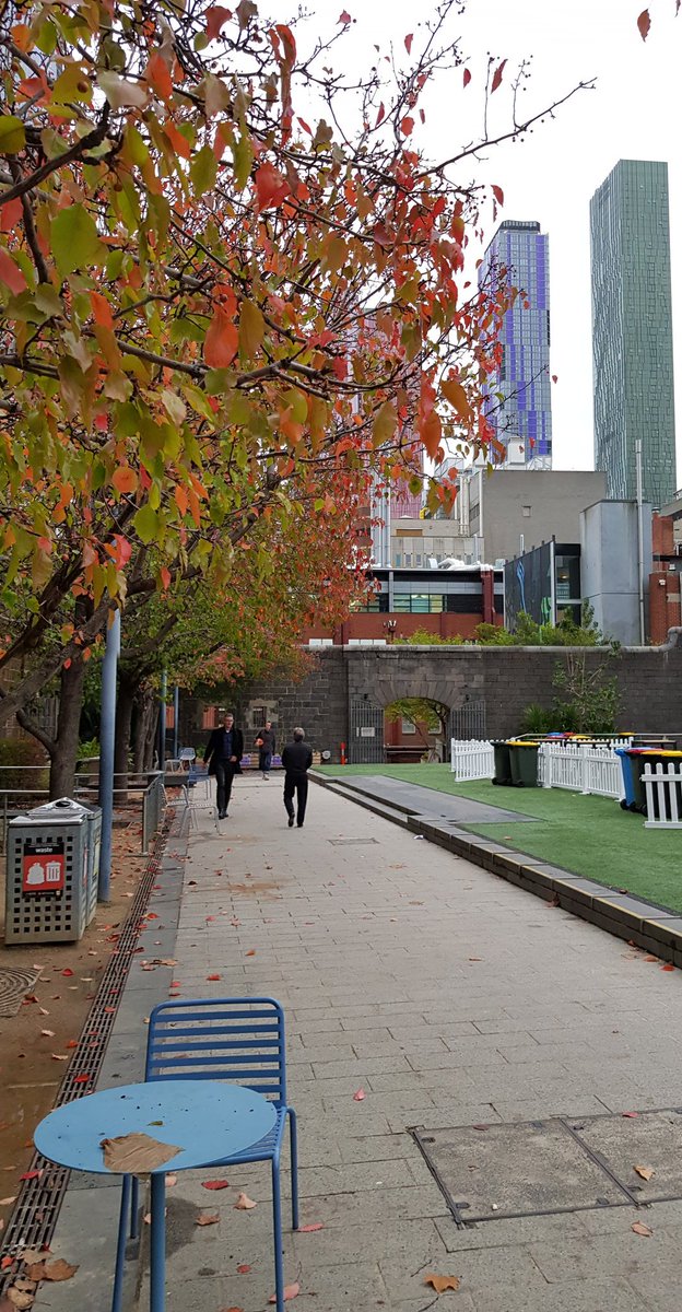 sisk6's tweet image. Meanwhile in #Melbourne Australia @DkIT_ie experience great success andxan eary Autumn!!! @Louthchat