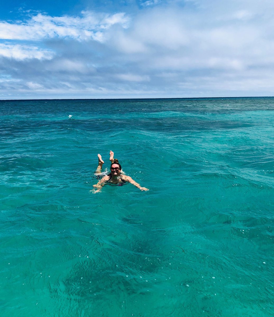 MirandaFrijns's tweet photo. Great food 🍔 delicious cocktails 🍸, meeting lovely people 🌸, soaking up the sun ☀️, swimming 💦, snorkelling 🐠.. This is what I call happiness 🙏🏻💖🏝✨
 
#wanderlust #polynesia #tonga #island #travelblog #paradise #digitalnomad #bucketlist #happiness #beach #travel #worldtrip https://t.co/4ZL3ehrYQp