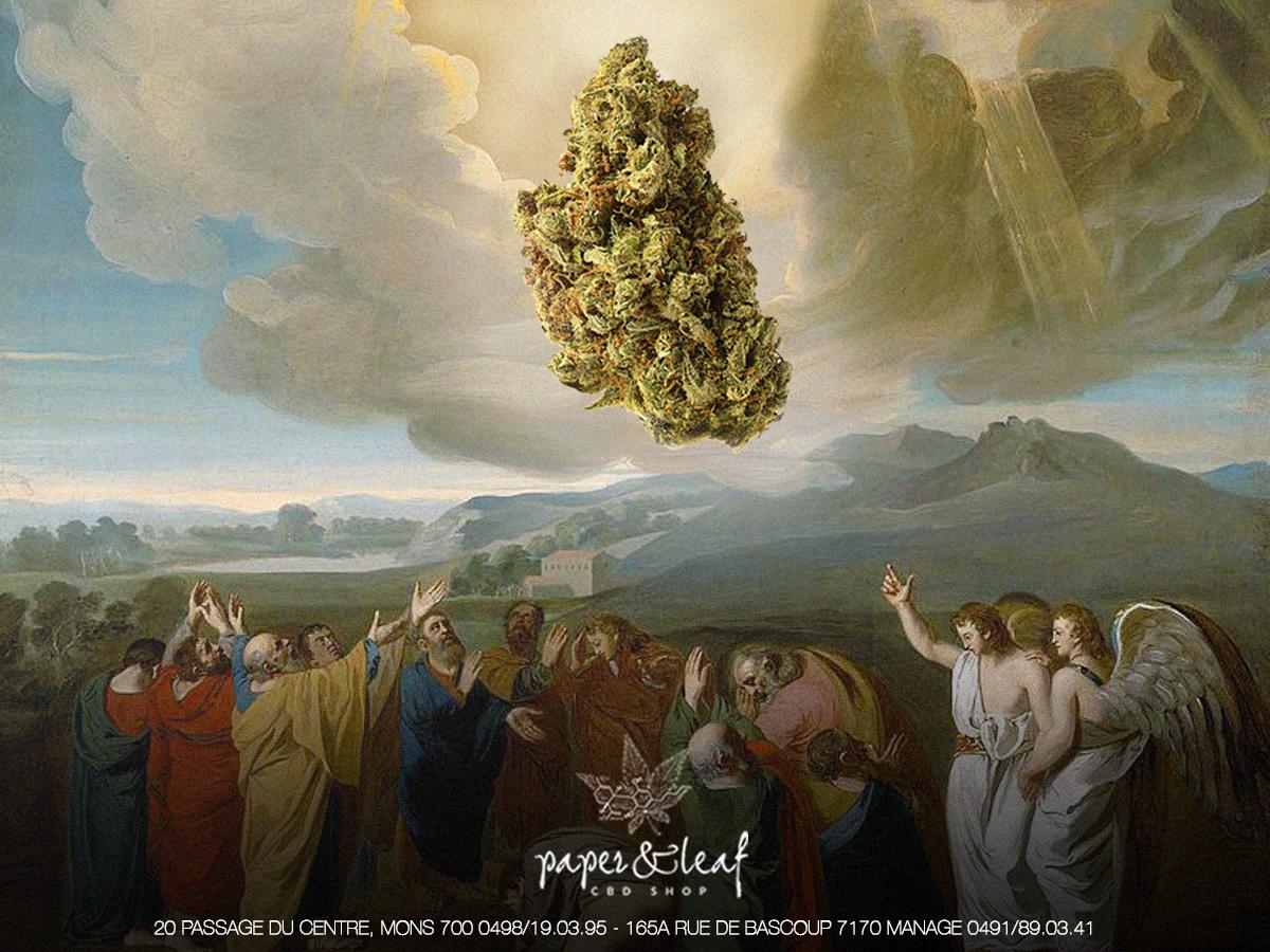 Paperandleaf_M's tweet photo. 👼👼👼

Le jeudi de l’Ascension chez Paper&amp;Leaf.

Ce jour symbolique est considéré par les croyants comme un rendez-vous spirituel essentiel, qui marque le dernier passage de Jésus sur Terre et son installation auprès de Dieu.

🙌🙌🙌 https://t.co/MhDzBsalST