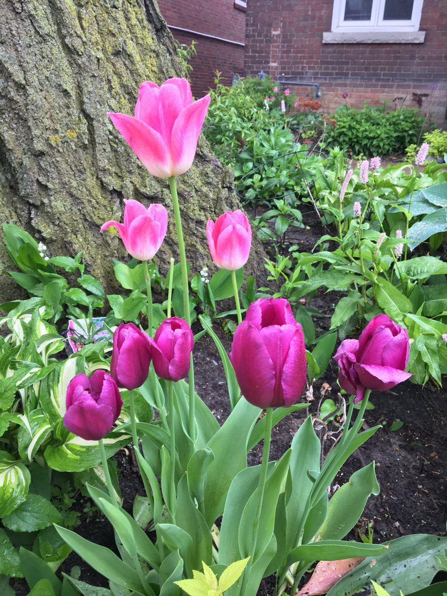 The day of your Grade 12 Retreat is here.  Can’t wait to see your lovely faces!  #timeforpersonalreflection #timeforgoodbyes