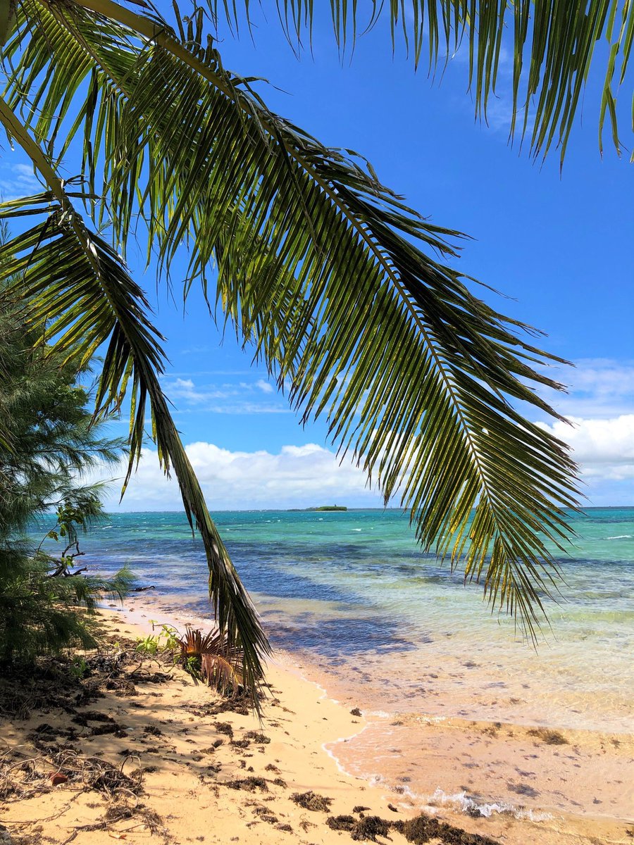MirandaFrijns's tweet photo. A trip to Tonga isn’t complete without a visit to Atata Island 🏝 Highly recommend a daytrip or even staying for a night (or couple nights) at this untouched tropical paradise in the South Pacific 💖🍹☀️🌸🥥 You won’t be dissapointed! 

#wanderlust #tonga #polynesia #traveltips https://t.co/d9gy9dnNUB