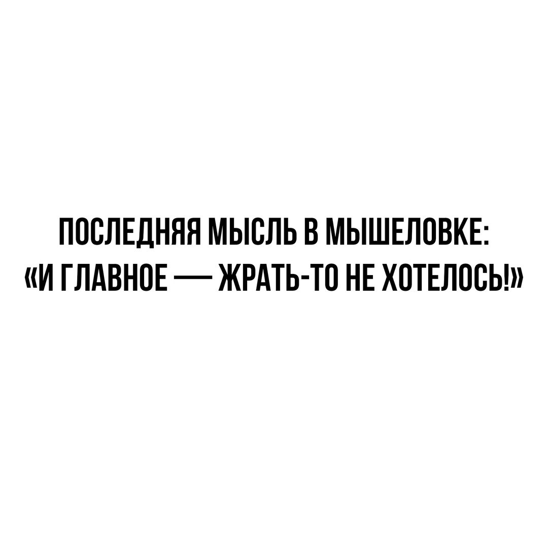 Чистый позитив (@purepositive_ru) on Twitter photo 