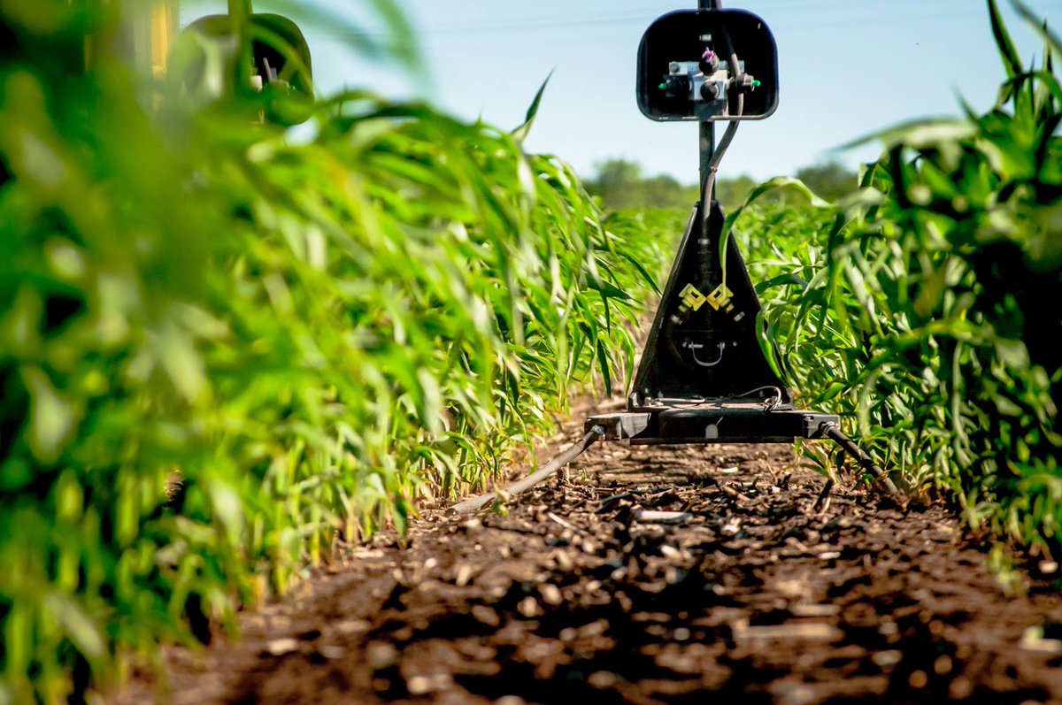 360_YIELD's tweet photo. At some point soon, our focus will shift from #plant19 to #feed19. To help with the transition, we have extended our rebates on 360 Y-DROP and 360 UNDERCOVER. Save $750 or $500. https://t.co/YT76ugX3X0 https://t.co/n7Po3d5pu7