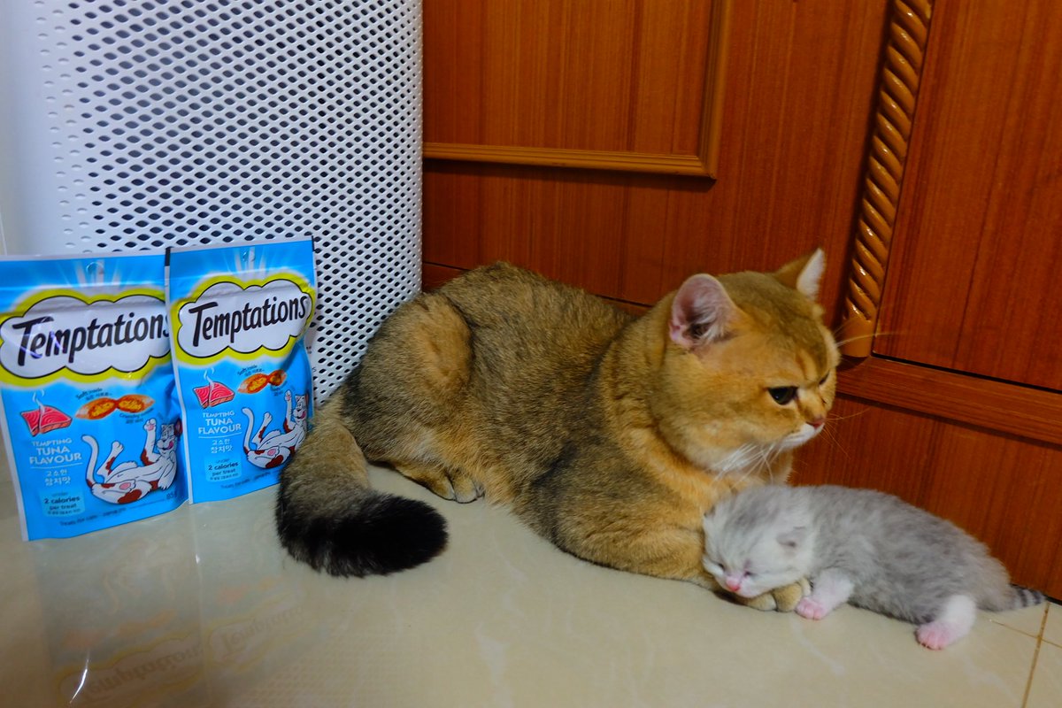 เอ็ดเวิร์ด tweet media
