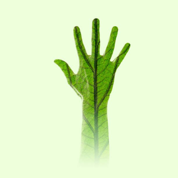 We just want to remind you about #Bioenergy2019 conference in London June 06-07, 2019 #bioenergy #Biomass #
Connect us at whatsapp +1 205 509 4578
We are having sponsors for your registration now
E: bioenergy2019@gmail.com
bioenergymeet.blogspot.com