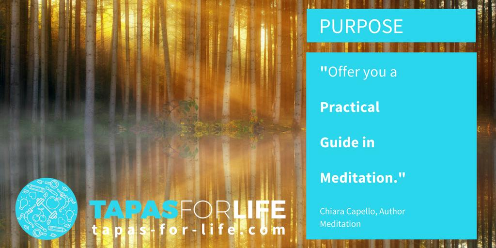 stewmania's tweet image. Meditation is a great stress reducer.buff.ly/2pO4BrQ #TapasForLife