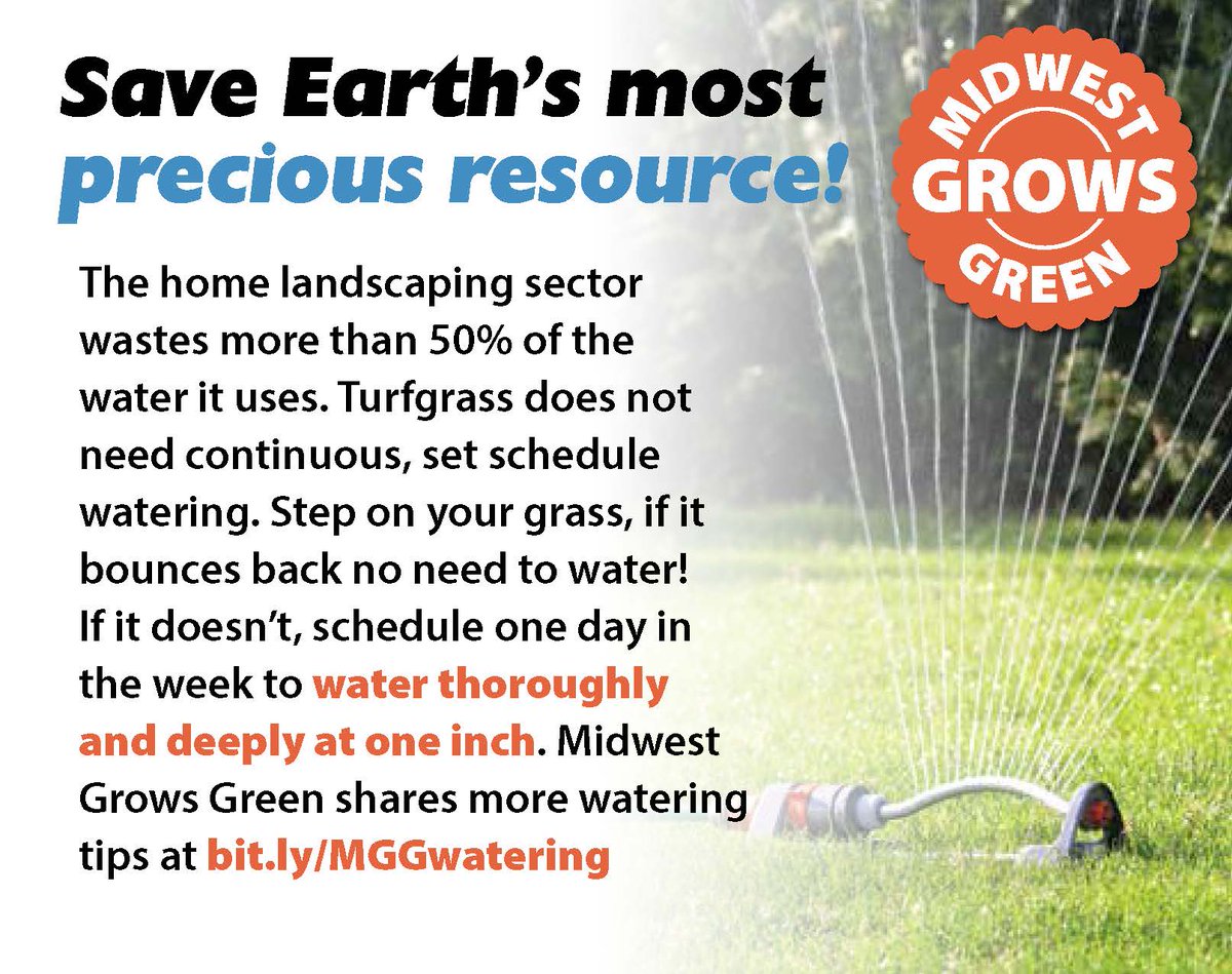 ToxicFreeMW's tweet photo. Save water and grow deep roots by only irrigating your lawn once a week (sometimes none like during this rainy May!).
Midwest Grows Green offers more tips during the #CGGweek Celebration 6/8 https://t.co/WPoJnHRp1Z https://t.co/Xd09aanLAA