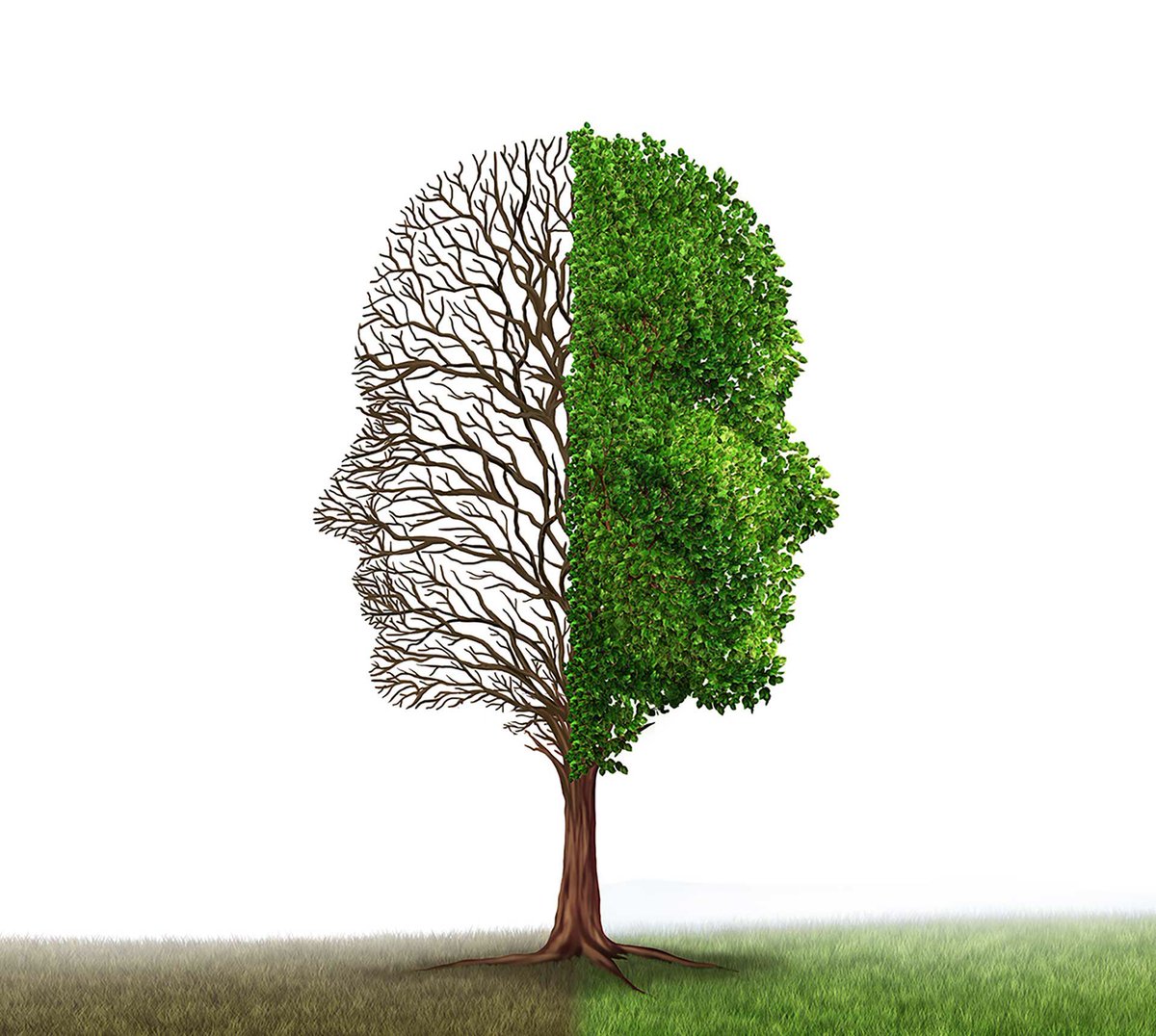 mdhorney's tweet photo. A Fixed Mindset vs. A Growth Mindset https://t.co/CmHcuI9nPg