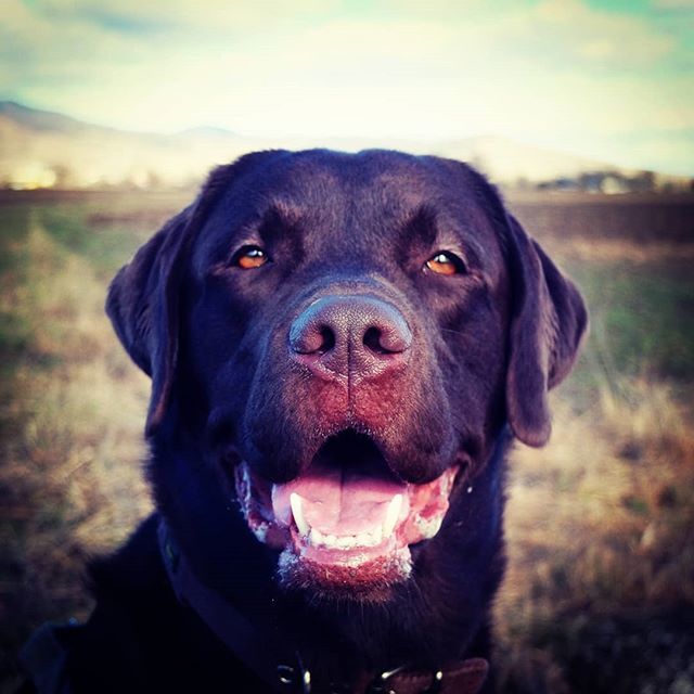 Berti_and_Ernie's tweet photo. I am here to smile for you!  😃 https://t.co/amwyD2BlOp