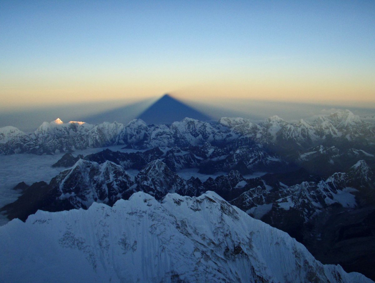 Roger McMorrow tweet media