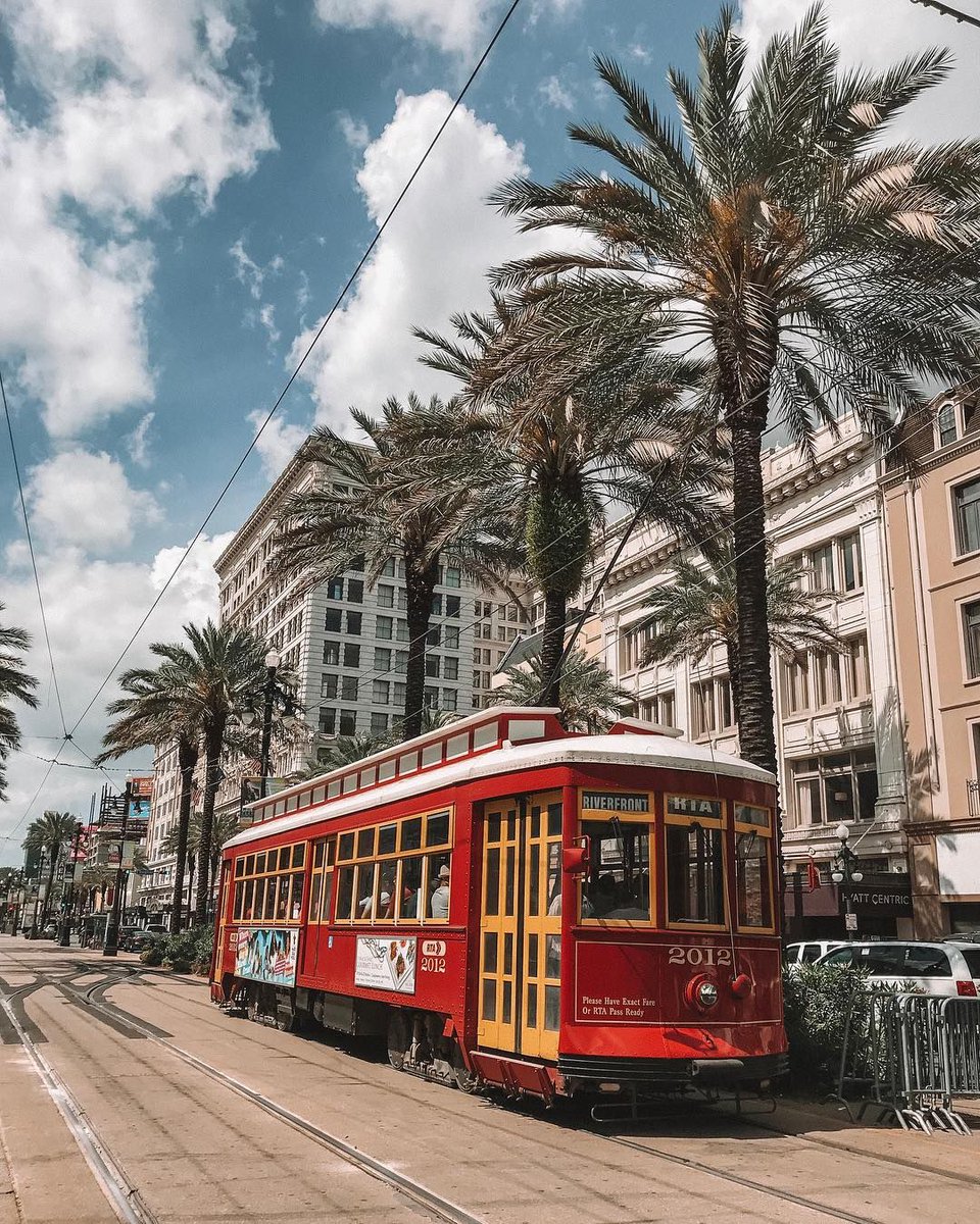 TheStrandNOLA's tweet photo. Only in NOLA 📸: @doraki_s https://t.co/n1cPfde9CV