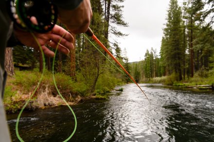 hub4hugs's tweet photo. "36 Hours in Bend, Ore. (and Environs)" by DAVE SEMINARA via NYT https://t.co/1eMOyqWbxG https://t.co/Ebwp7mFNWo