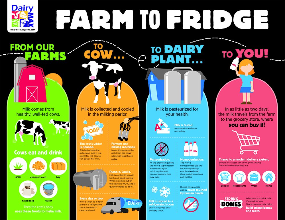 Fun Fact: It takes as little as two days for milk to go from the farm to your fridge! Check the graphic to see the journey of milk! #JuneisDairyMonth #DairyFAN #DairyFacts #dairymonth #dairygoodness #30daysofDairy