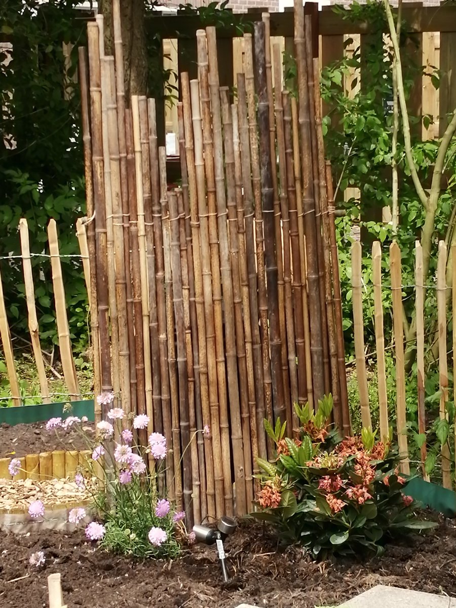 AmbachtT's tweet photo. As zaterdag #opentuin. Wij laten iedereen graag zien hoe mooi het is geworden. 16.00u met een hapje en een drankje. Tot dan? #Alkmaar #bewonersinitiatieven #moestuin #insectentuin #bijen #bloemen https://t.co/XGqGVvlLQo