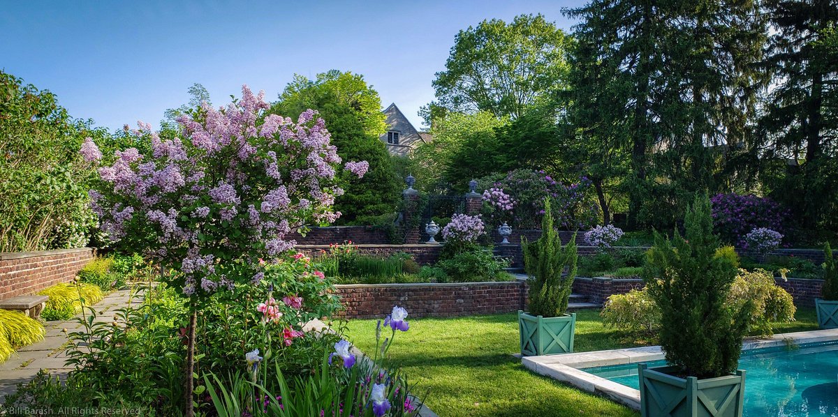 PlantingFields's tweet image. Our first Twilight Tour is Fri., 6/7 from 7-8:30pm! Meet at Coe Hall &amp;amp; enjoy wine &amp;amp; cheese before taking an evening tour of the grounds, guided by Mike Runkel, Asst. Director, PF Arboretum. FREE for Members /$20 Non-Members. Purchase tickets or reserve your spot on our website.