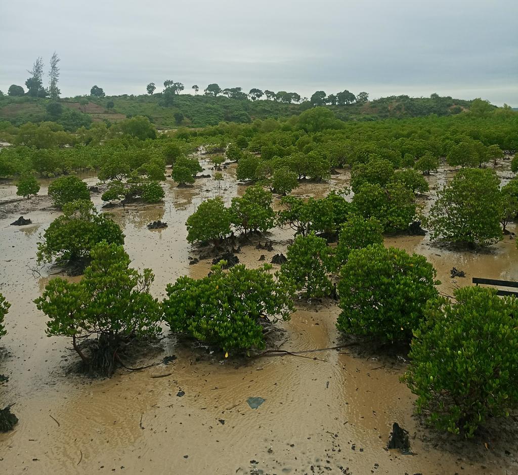 Lornah Olumah (@lolumah) on Twitter photo 