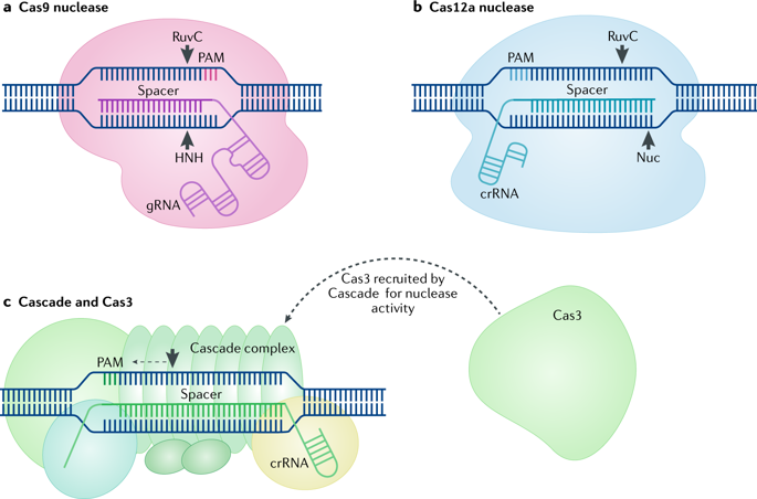 Nature Reviews Molecular Cell Biology tweet media