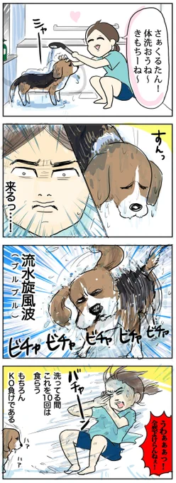 ✨ブログ更新!✨
犬をスムーズに洗う方法
https://t.co/7g3me5fHfj
あるなら教えてくれ…
#ビーグル犬 