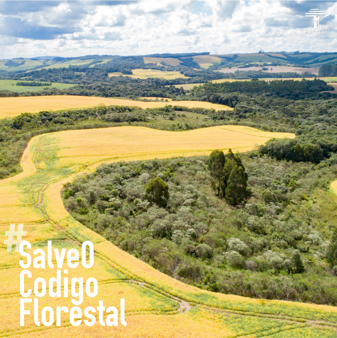 sosma's tweet image. O #CódigoFlorestal é uma lei de extrema importância para o Brasil e resguarda o futuro do país. Alterações não podem ser votadas em regime de urgência. Excelente acordo e decisão do presidente do senado @davialcolumbre e senadores! #SalveOCodigoFlorestal