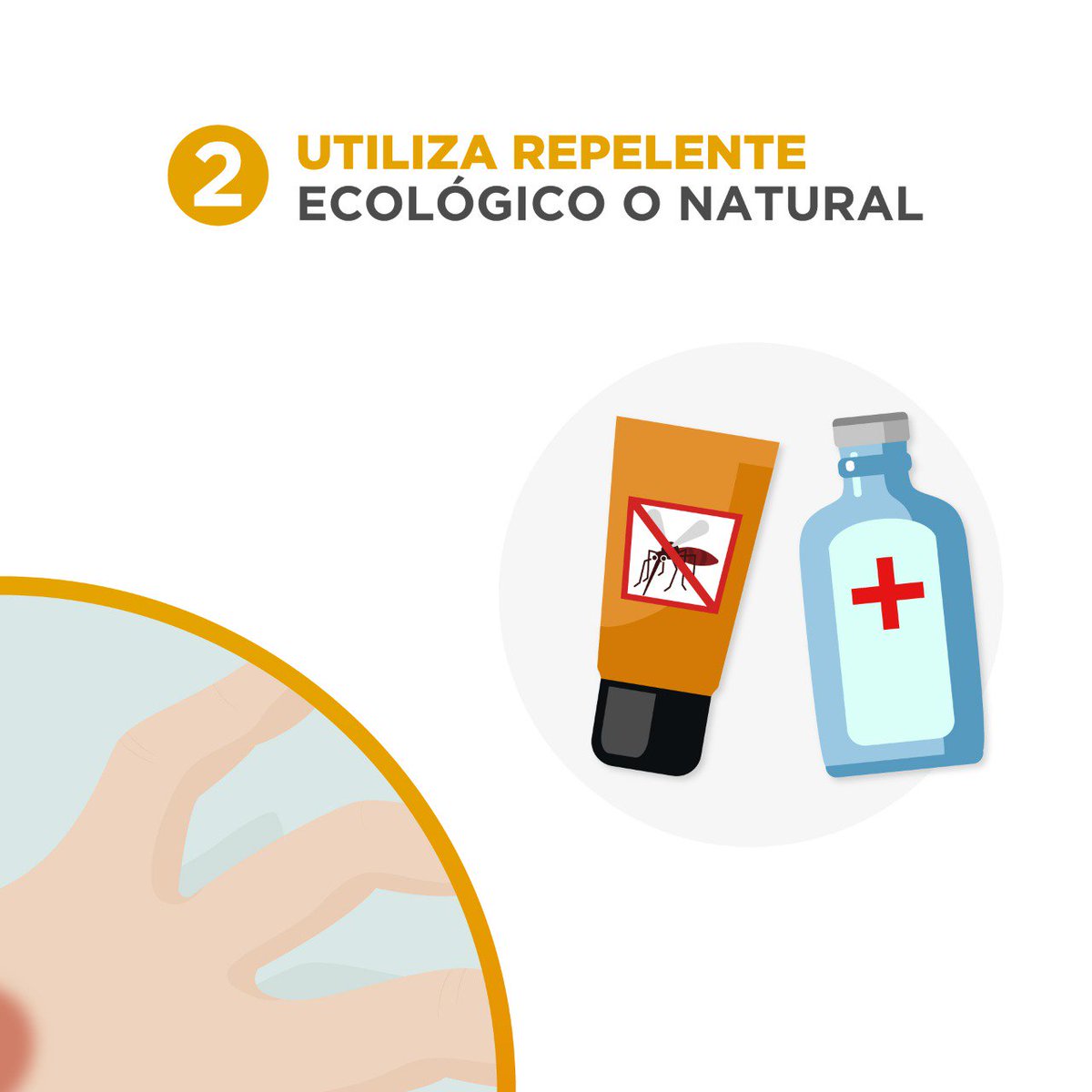 ViveEnCancun's tweet photo. ¡Cuídate de los mosquitos! Te compartimos recomendaciones para evitar el contagio de dengue y chikungunya. 🦟💧 https://t.co/orYDm4CxdD