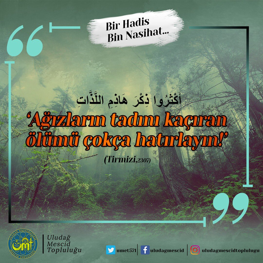 ULUDAĞ MESCİD (@umet571) on Twitter photo 