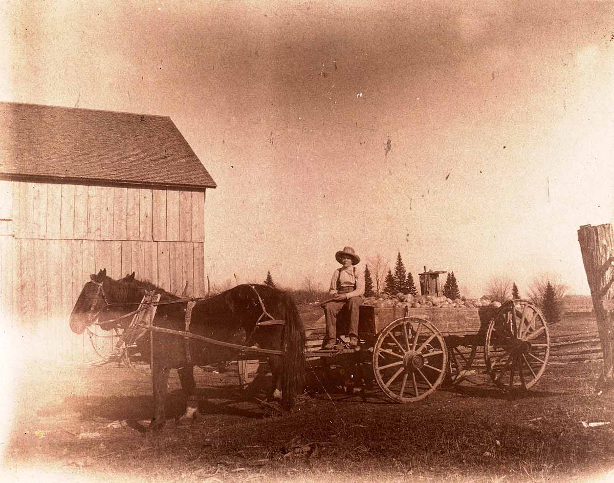 Our @KitchLibrary #GSR #ThrowbackThursday h/t to Children's Farm and Home Safety Day being held on 1 June 2019 from 9am-1pm in Wellesley by Waterloo Rural Women facebook.com/WaterlooRuralW… Details & registration info here: bit.ly/2MhBmMF #farmsafety #farms #safety