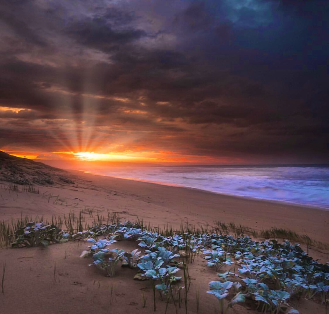 Compass Florida tweet media