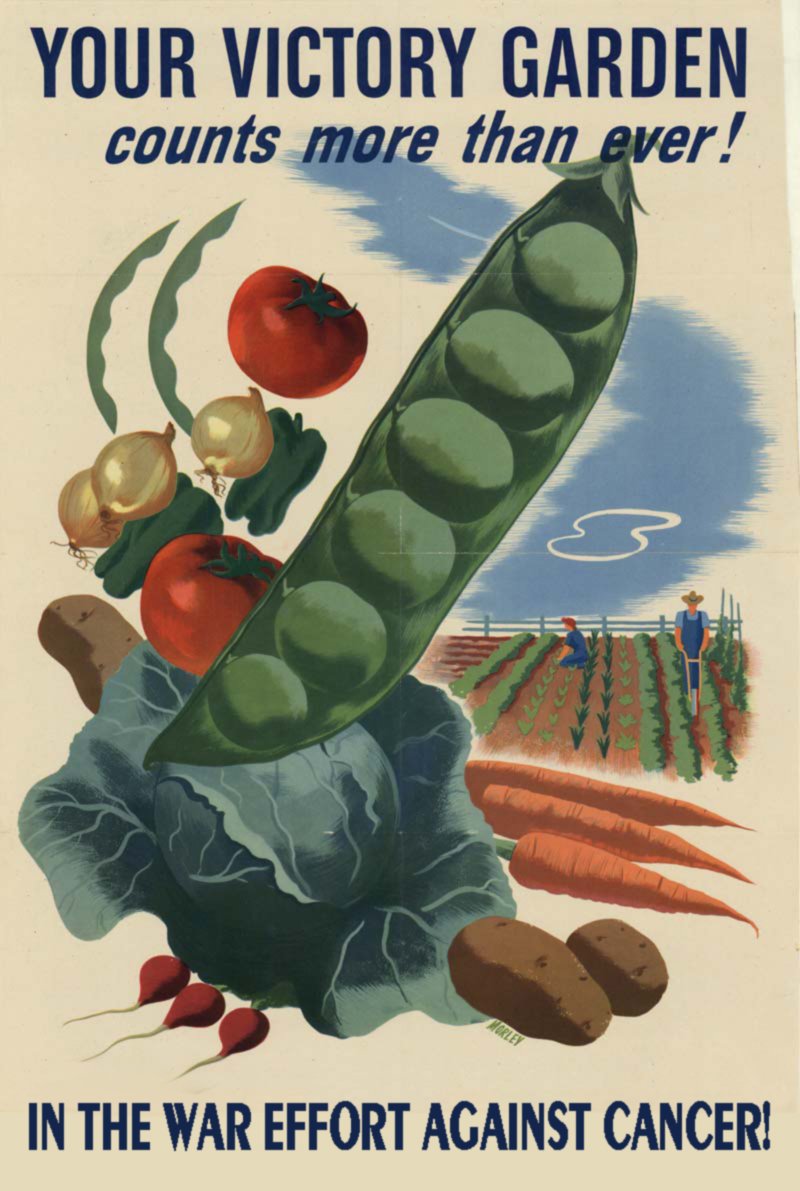StephenThorburn's tweet photo. Plant a VICTORY GARDEN today! Grow cancer fighting foods in your own backyard! Please retweet! https://t.co/wp5dpuDDVc