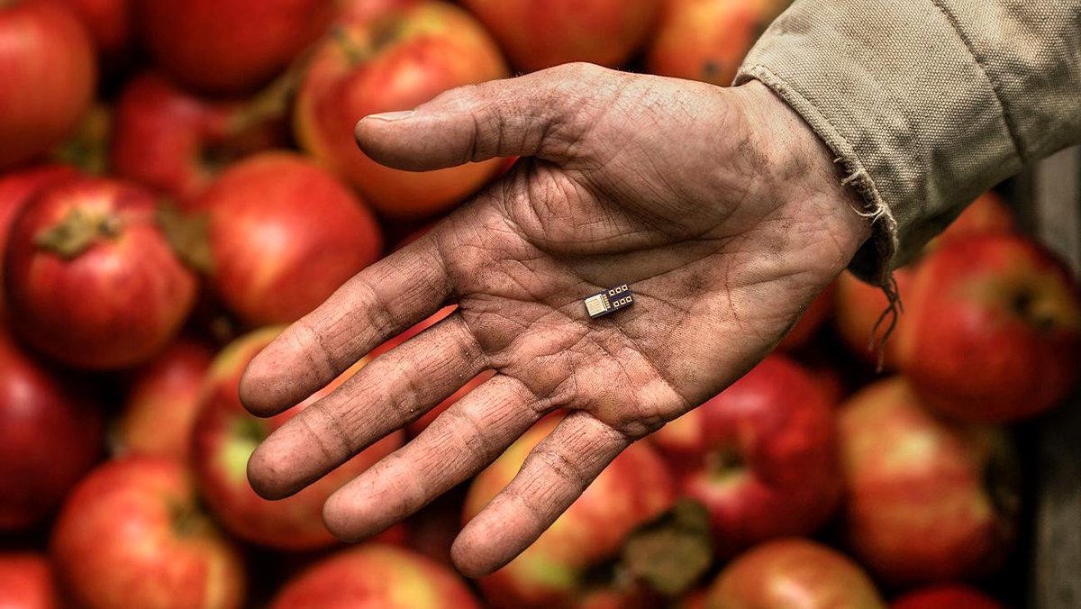 Grow-NY (@grow_ny) on Twitter photo The list of inventions and innovations that have grown in New York State is endless. Tomorrow, in Rochester, we’ll add to that legacy. <a href="/Cornell/">Cornell University</a> <a href="/CornellCALS/">Cornell CALS</a> <a href="/CornellAgriTech/">Cornell AgriTech</a> <a href="/NYGov/">State of New York</a> <a href="/EmpireStateDev/">Empire State Development</a> The list of inventions and innovations that have grown in New York State is endless. Tomorrow, in Rochester, we’ll add to that legacy. <a href="/Cornell/">Cornell University</a> <a href="/CornellCALS/">Cornell CALS</a> <a href="/CornellAgriTech/">Cornell AgriTech</a> <a href="/NYGov/">State of New York</a> <a href="/EmpireStateDev/">Empire State Development</a>