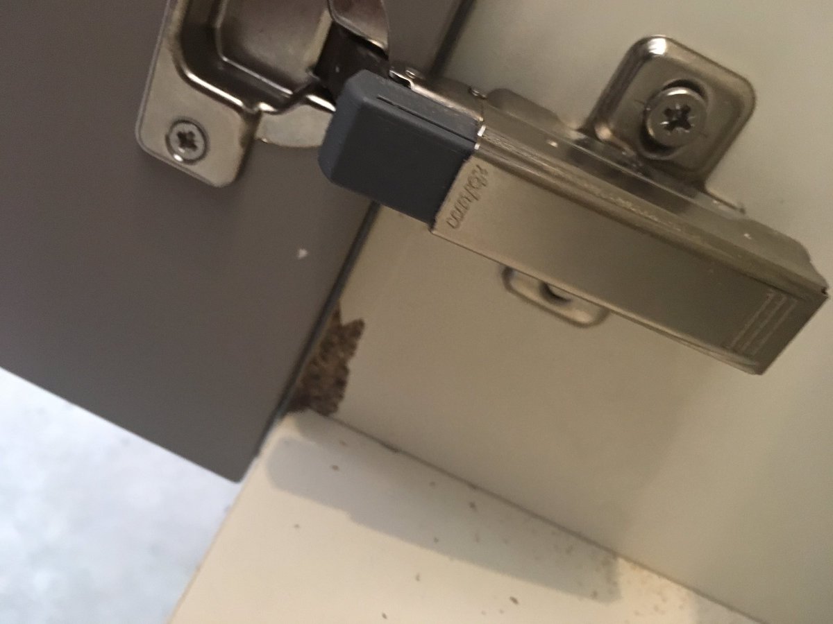 snagmyhouse's tweet photo. The hidden ones are usually the ones that cause the most trouble after and to change. 

https://t.co/7s4qltD9oD
@snagmyhouse

#snagmyhouse #irishconstruction #snaglistinspectors #snaglistservice #buildingsurveying #propertysnagdublin #propertysnagireland #building #smallbusiness https://t.co/AN7BPRUf2K