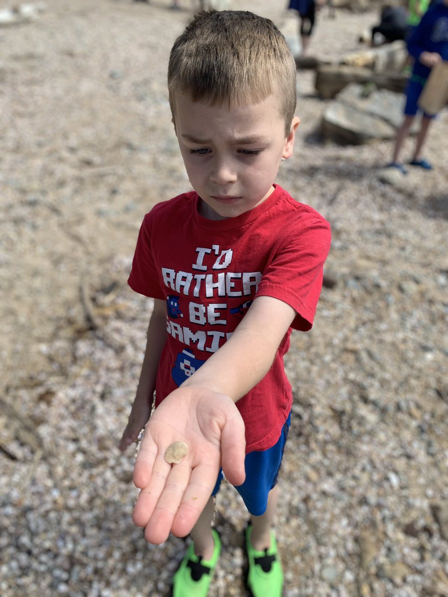 Ashley Rodrigues tweet media