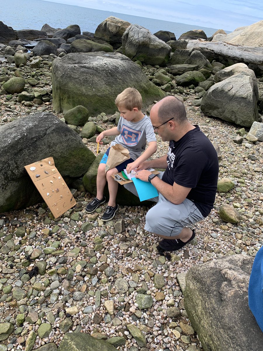 Ashley Rodrigues tweet media