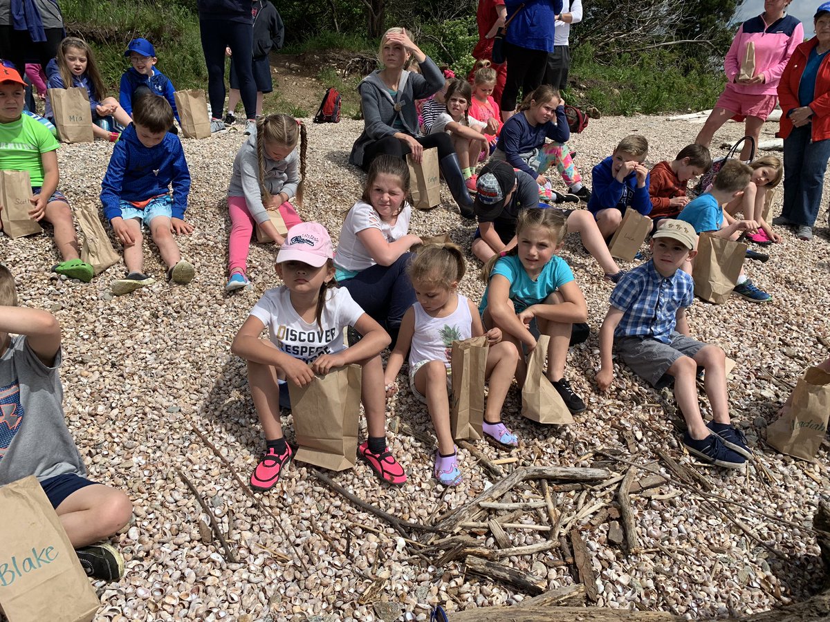 Ashley Rodrigues tweet media